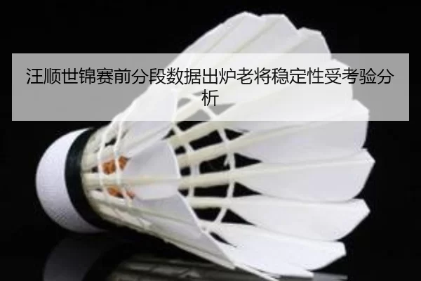 汪顺世锦赛前分段数据出炉老将稳定性受考验分析